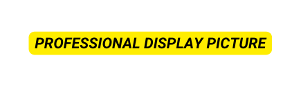 PROFESSIONAL DISPLAY PICTURE